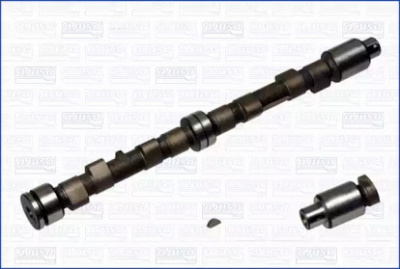 WILMINK GROUP wg1170832 -  Распредвал